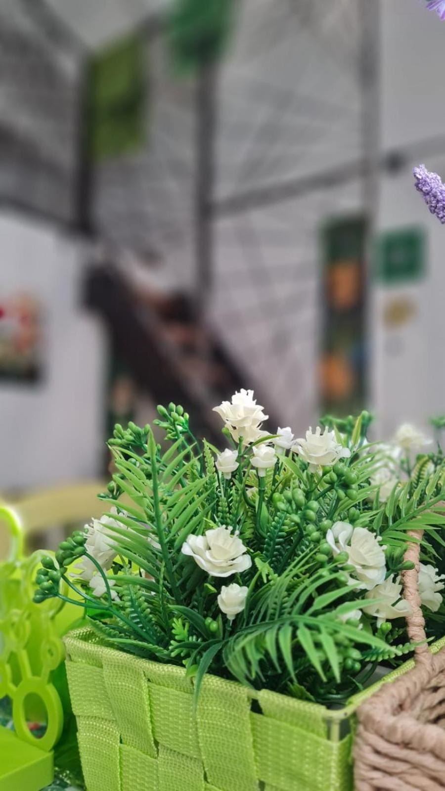 Lo Stazzo Della Dottoressa Enas エクステリア 写真